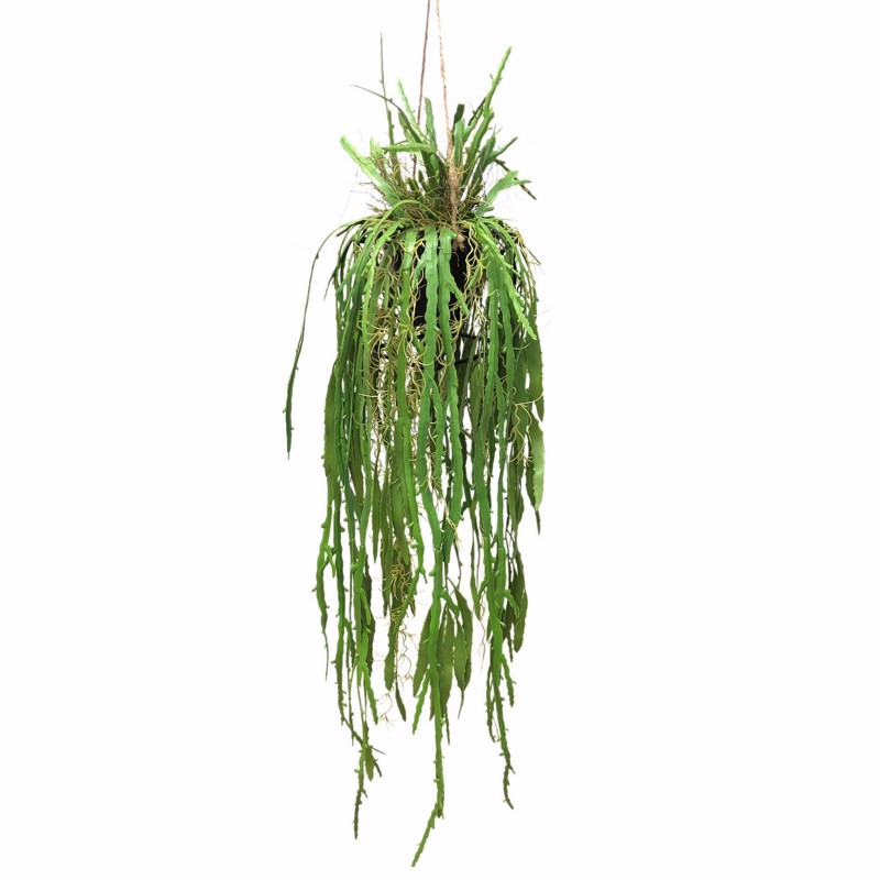 Γλάστρες - Ζαρντινιέρες agiovlasitishome - ΣΗΜΑΝΤΙΚΟ: Σε περίπτωση διαφοράς τιμής από το κατάστημα ισχύει παντα και μόνο η τιμή του καταστήματος Supergreens Τεχνητή Κρεμαστή Ρίζα Επίφυλλο ''Dama Noce'