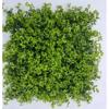 Supergreens Texniti Fullosia Fteri ''Alpine'' Prasini 50x50cm 0381-7