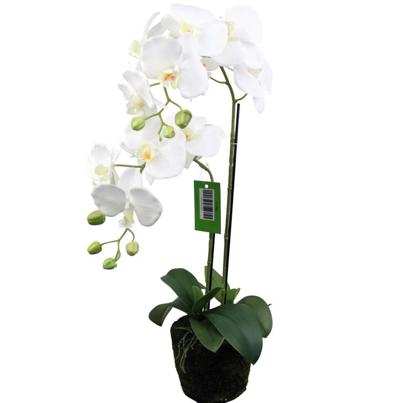 Γλάστρες - Ζαρντινιέρες agiovlasitishome - ΣΗΜΑΝΤΙΚΟ: Σε περίπτωση διαφοράς τιμής από το κατάστημα ισχύει παντα και μόνο η τιμή του καταστήματος Supergreens Τεχνητό Φυτό Ορχιδέα Phalaenopsis Λευκό 110