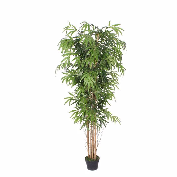 Supergreens Texnito Dentro Bampou Lucky 180cm 0430-6