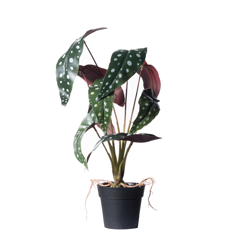 Supergreens Τεχνητό Φυτό Μπιγκόνια Malucata 40cm 0460-6