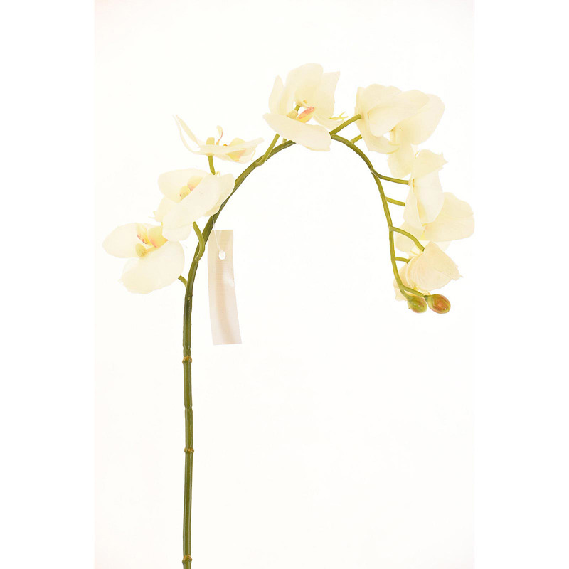 Supergreens Τεχνητό Κλωνάρι Ορχιδέα Άσπρο 112cm 0480-7