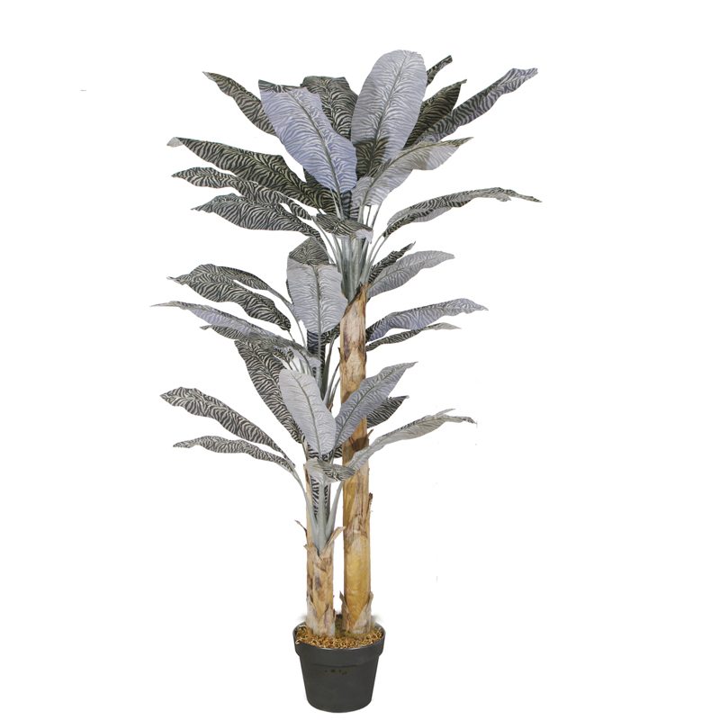 Supergreens Τεχνητό Δέντρο Μπανανιά Ζέβρα 240cm 0630-6