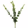 Supergreens Texnito Fullo Efkaluptos 36cm 0641-7