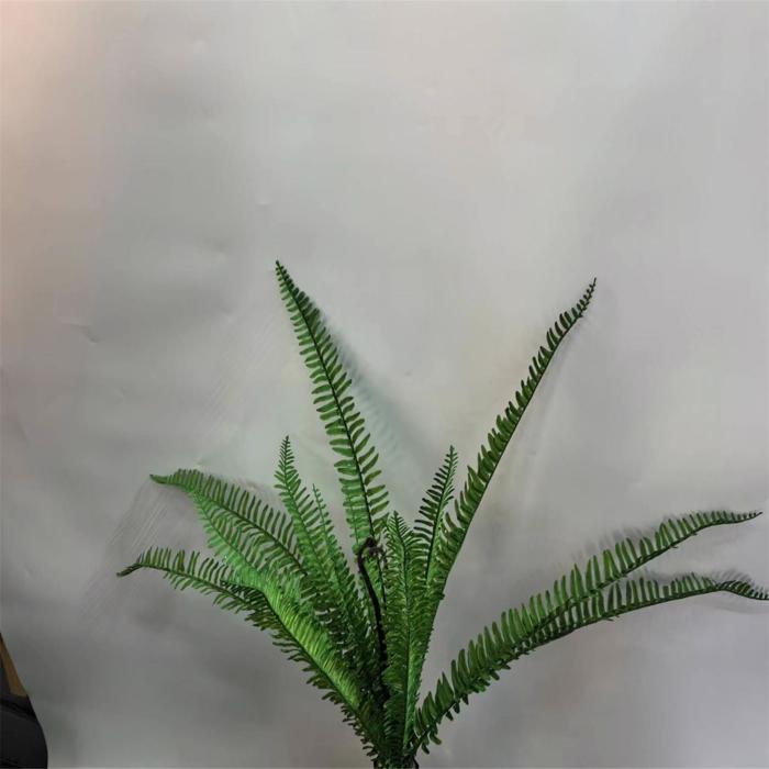 Supergreens Texniti Xonefti Fteri Prasini 68 ek. 0671-7