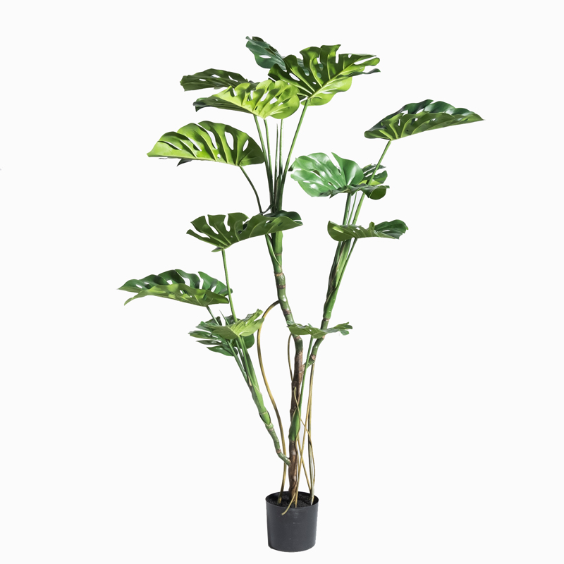 Supergreens - ΣΗΜΑΝΤΙΚΟ: Σε περίπτωση διαφοράς τιμής από το κατάστημα ισχύει παντα και μόνο η τιμή του καταστήματος Supergreens Τεχνητό Δέντρο Μονστέρα 150cm 0680-6