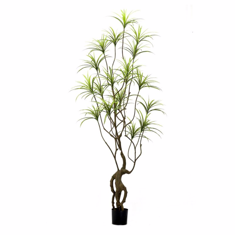 Γλάστρες - Ζαρντινιέρες agiovlasitishome - ΣΗΜΑΝΤΙΚΟ: Σε περίπτωση διαφοράς τιμής από το κατάστημα ισχύει παντα και μόνο η τιμή του καταστήματος Supergreens Τεχνητό Δέντρο Δράκαινα Sanderiana Πράσινο