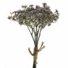 Supergreens Texnito Bouketo Gypsofulli x6 Ggri 29.5cm 0941-7