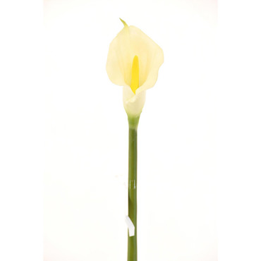 Supergreens Τεχνητό Κλωνάρι Κάλλα 76cm 1030-7