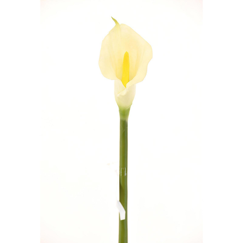 Supergreens Τεχνητό Κλωνάρι Κάλλα 76cm 1030-7