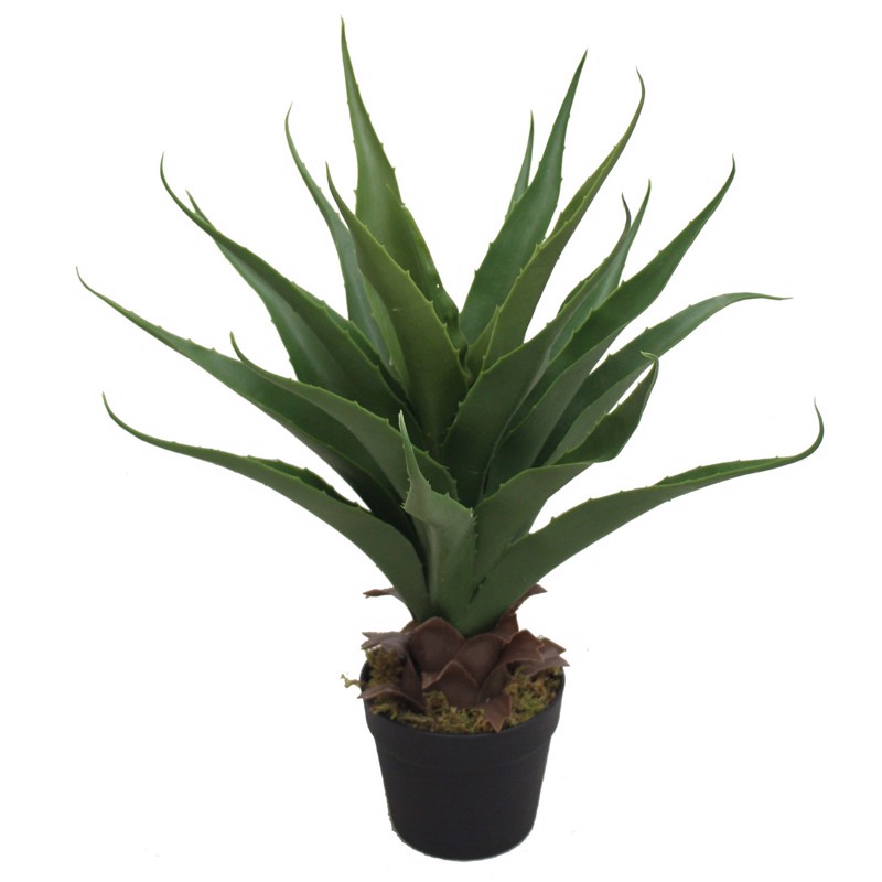 Γλάστρες - Ζαρντινιέρες agiovlasitishome - ΣΗΜΑΝΤΙΚΟ: Σε περίπτωση διαφοράς τιμής από το κατάστημα ισχύει παντα και μόνο η τιμή του καταστήματος Supergreens Τεχνητό Φυτό σε Γλάστρα Αλόη Azzure Πράσινο