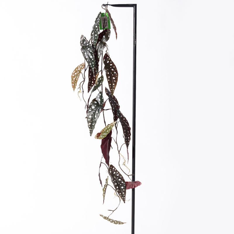 Supergreens Τεχνητή Γιρλάντα Μπιγκόνια Maculata 120cm 1