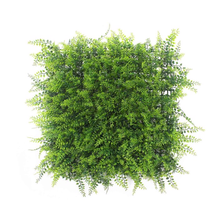 Supergreens Texniti Fullosia Fteri Adiantum Capillus 50x50cm 1351-7