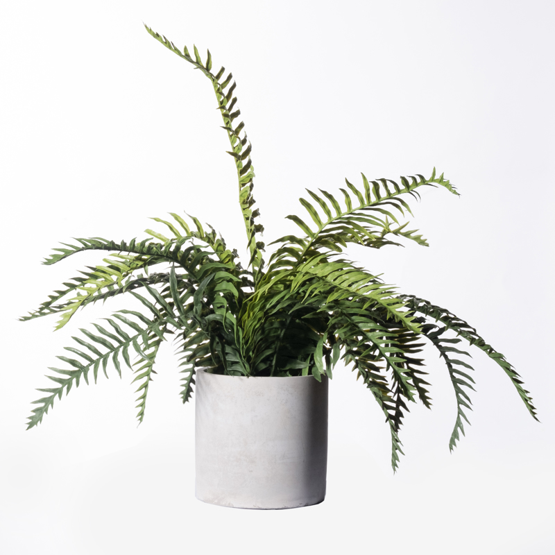 Supergreens Τεχνητό Φυτό Φτέρη Ostrich 42cm 1360-6