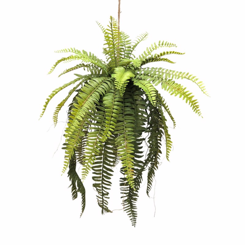 Γλάστρες - Ζαρντινιέρες agiovlasitishome - ΣΗΜΑΝΤΙΚΟ: Σε περίπτωση διαφοράς τιμής από το κατάστημα ισχύει παντα και μόνο η τιμή του καταστήματος Supergreens Τεχνητή Κρεμαστή Φτέρη ''Boston'' Πράσινη 5