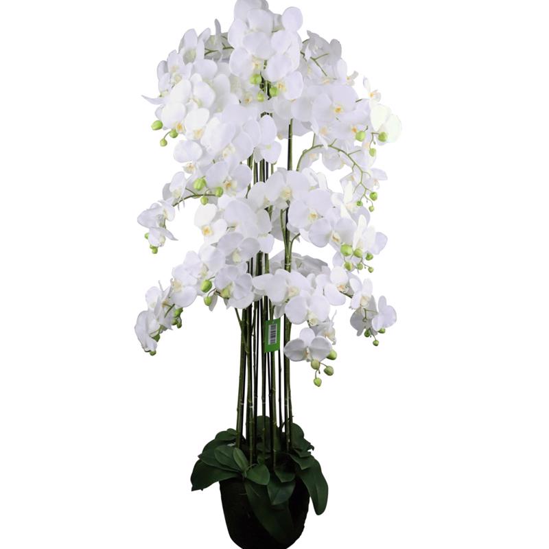 Γλάστρες - Ζαρντινιέρες agiovlasitishome - ΣΗΜΑΝΤΙΚΟ: Σε περίπτωση διαφοράς τιμής από το κατάστημα ισχύει παντα και μόνο η τιμή του καταστήματος Supergreens Τεχνητό Φυτό Ορχιδέα Phalaenopsis Λευκό 153