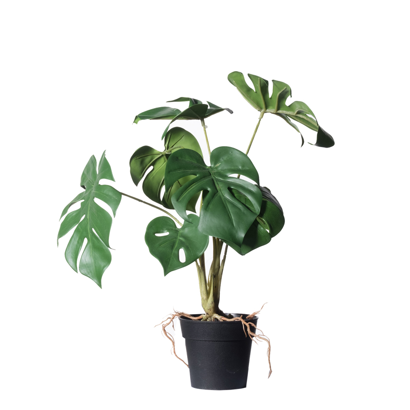 Γλάστρες - Ζαρντινιέρες agiovlasitishome - ΣΗΜΑΝΤΙΚΟ: Σε περίπτωση διαφοράς τιμής από το κατάστημα ισχύει παντα και μόνο η τιμή του καταστήματος Supergreens Τεχνητό Φυτό Μονστέρα ''Minima'' 40cm 1460-