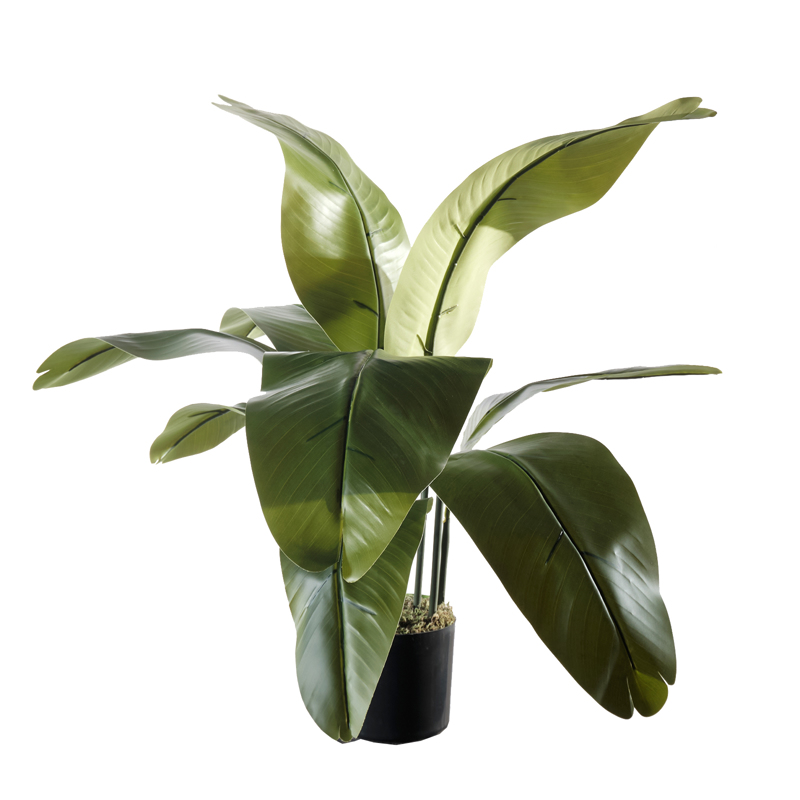 Supergreens Τεχνητό Δέντρο του Ταξιδιώτη Φ60x90cm 1560-