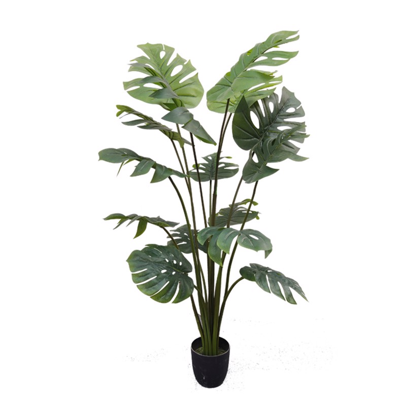 Γλάστρες - Ζαρντινιέρες agiovlasitishome - ΣΗΜΑΝΤΙΚΟ: Σε περίπτωση διαφοράς τιμής από το κατάστημα ισχύει παντα και μόνο η τιμή του καταστήματος Supergreens Τεχνητό Δέντρο Μονστέρα 150cm 1660-6