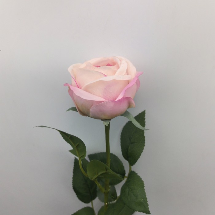 Supergreens Texnito Klonari Triantafullo ''Garden'' Roz 57 ek. 1681-7