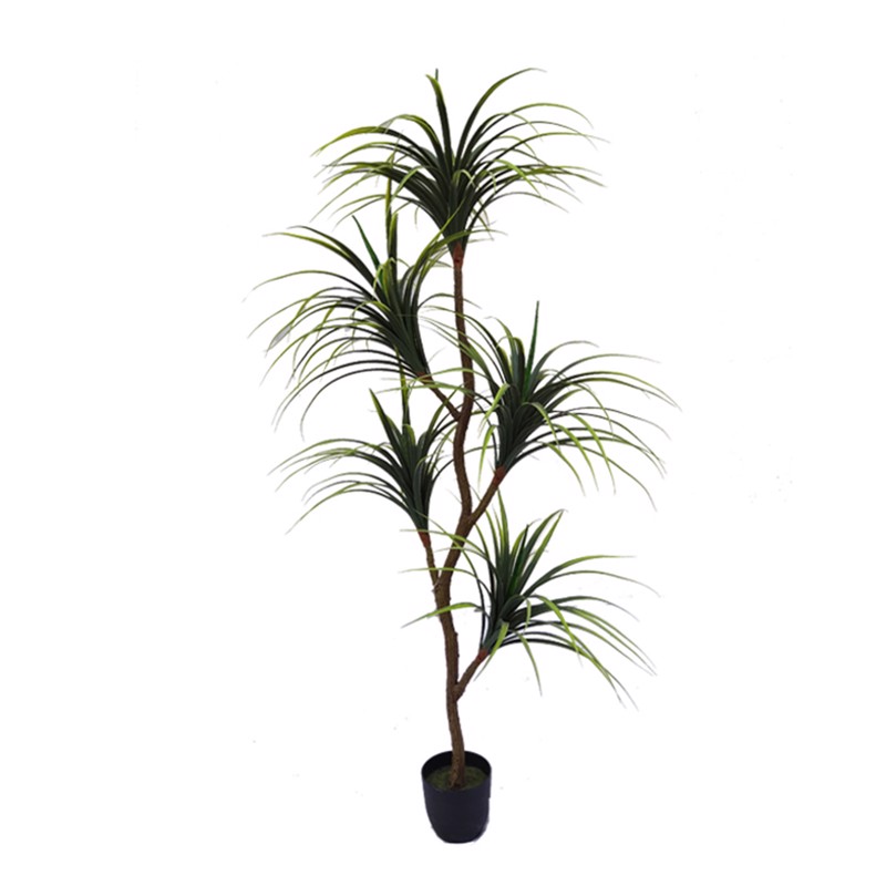 Γλάστρες - Ζαρντινιέρες agiovlasitishome - ΣΗΜΑΝΤΙΚΟ: Σε περίπτωση διαφοράς τιμής από το κατάστημα ισχύει παντα και μόνο η τιμή του καταστήματος Supergreens Τεχνητό Δέντρο Δράκαινα 160cm 1760-6