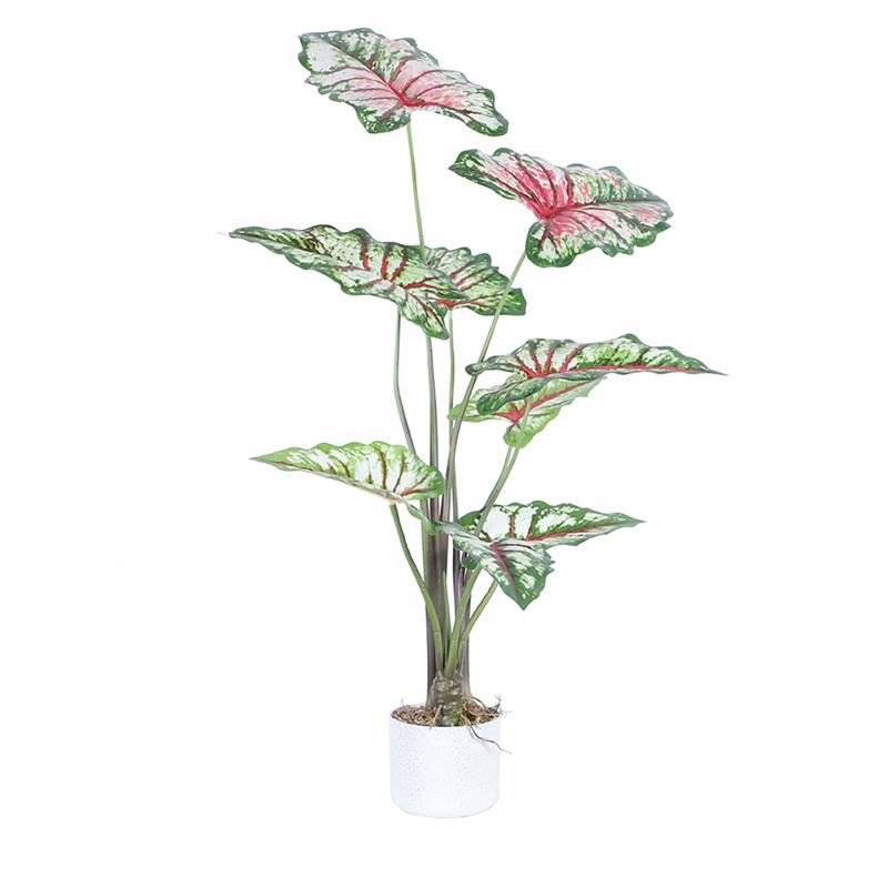 Γλάστρες - Ζαρντινιέρες agiovlasitishome - ΣΗΜΑΝΤΙΚΟ: Σε περίπτωση διαφοράς τιμής από το κατάστημα ισχύει παντα και μόνο η τιμή του καταστήματος Supergreens Τεχνητό Φυτό Καλάδιο Πράσινο 95 εκ. 1801-6