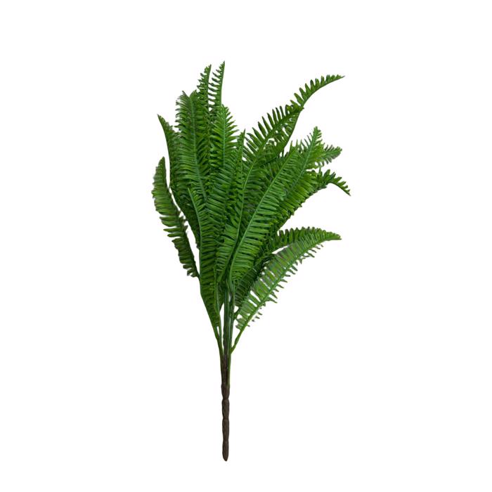 Supergreens Texniti Xonefti Fteri ''Cinnamon'' Prasini 46cm 1971-7