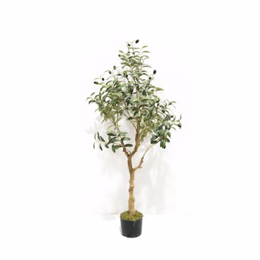 Supergreens Τεχνητό Δέντρο Ελιά ''Ascolano'' Πράσινο 120cm 1990-6