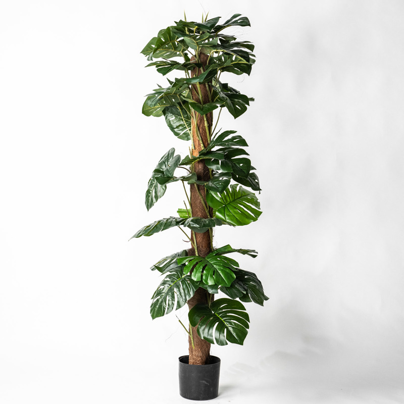 Supergreens Τεχνητό Δέντρο Μονστέρα 150cm 2080-6