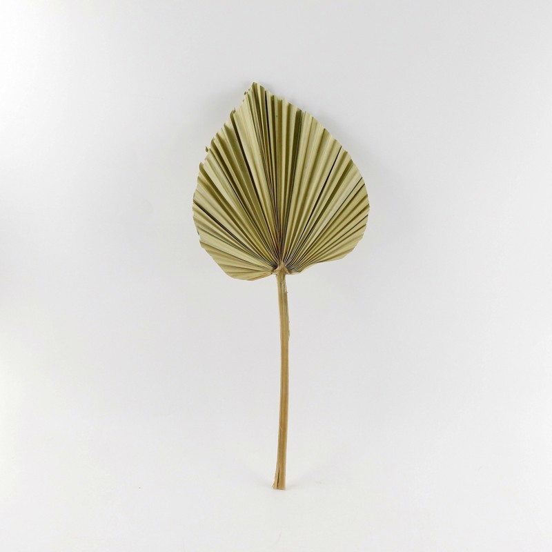 Γλάστρες - Ζαρντινιέρες agiovlasitishome - ΣΗΜΑΝΤΙΚΟ: Σε περίπτωση διαφοράς τιμής από το κατάστημα ισχύει παντα και μόνο η τιμή του καταστήματος Supergreens Τεχνητό Φύλλο Φοίνικας ''Serenoa'' Φυσικό 2