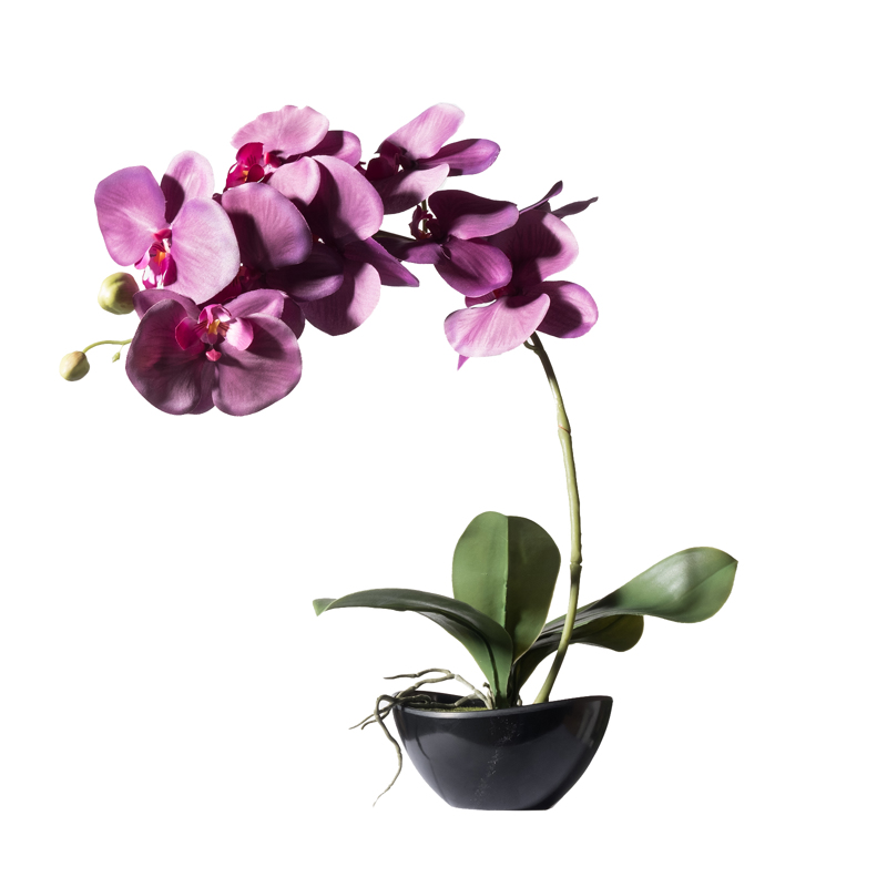 Supergreens Τεχνητό Φυτό Ορχιδέα Phalaenopsis Real Touc