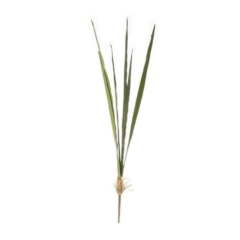 Γλάστρες - Ζαρντινιέρες agiovlasitishome - ΣΗΜΑΝΤΙΚΟ: Σε περίπτωση διαφοράς τιμής από το κατάστημα ισχύει παντα και μόνο η τιμή του καταστήματος Supergreens Τεχνητό Φύλλο Ορχιδέα Συμπίντιουμ 84cm 2210