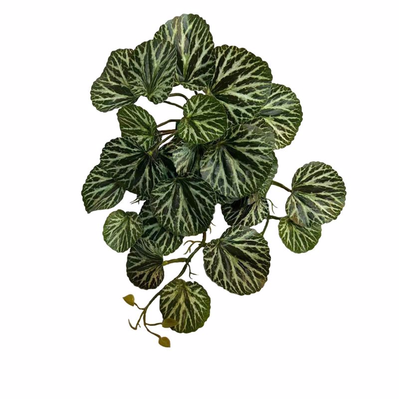 Γλάστρες - Ζαρντινιέρες agiovlasitishome - ΣΗΜΑΝΤΙΚΟ: Σε περίπτωση διαφοράς τιμής από το κατάστημα ισχύει παντα και μόνο η τιμή του καταστήματος Supergreens Τεχνητή Κρεμαστή Σαξιφράγκα Sarmentosa Πράσ