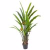 Supergreens Texnito Dentro Strelizia Reginas Kokkini 130cm 2350-6