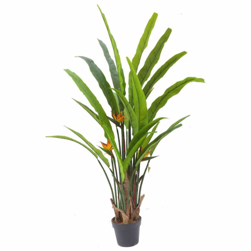 Γλάστρες - Ζαρντινιέρες agiovlasitishome - ΣΗΜΑΝΤΙΚΟ: Σε περίπτωση διαφοράς τιμής από το κατάστημα ισχύει παντα και μόνο η τιμή του καταστήματος Supergreens Τεχνητό Δέντρο Strelizia Reginas Κόκκινη 13