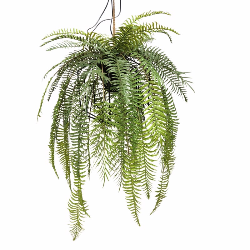 Γλάστρες - Ζαρντινιέρες agiovlasitishome - ΣΗΜΑΝΤΙΚΟ: Σε περίπτωση διαφοράς τιμής από το κατάστημα ισχύει παντα και μόνο η τιμή του καταστήματος Supergreens Τεχνητή Κρεμαστή Φτέρη ''Lady'' Πράσινη 48x