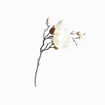 Supergreens Τεχνητό Κλωνάρι Μανόλια Άσπρο 50cm 2380-7