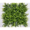 Supergreens Texniti Fullosia Fteri ''Rabbit's Foot'' Prasini 50x50cm 2381-7