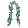 Supergreens Texniti Grlanta Kissos Panase 180cm 2401-7