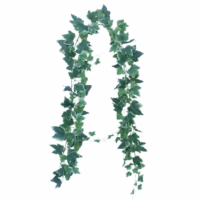 Supergreens Texniti Grlanta Kissos Panase 180cm 2401-7