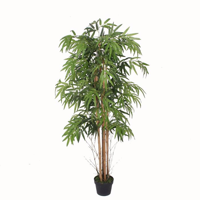 Supergreens Τεχνητό Δέντρο Μπαμπού Lucky 150cm 2430-6 Supergreens Texnito Dentro Bampou Lucky 150cm 2430-6