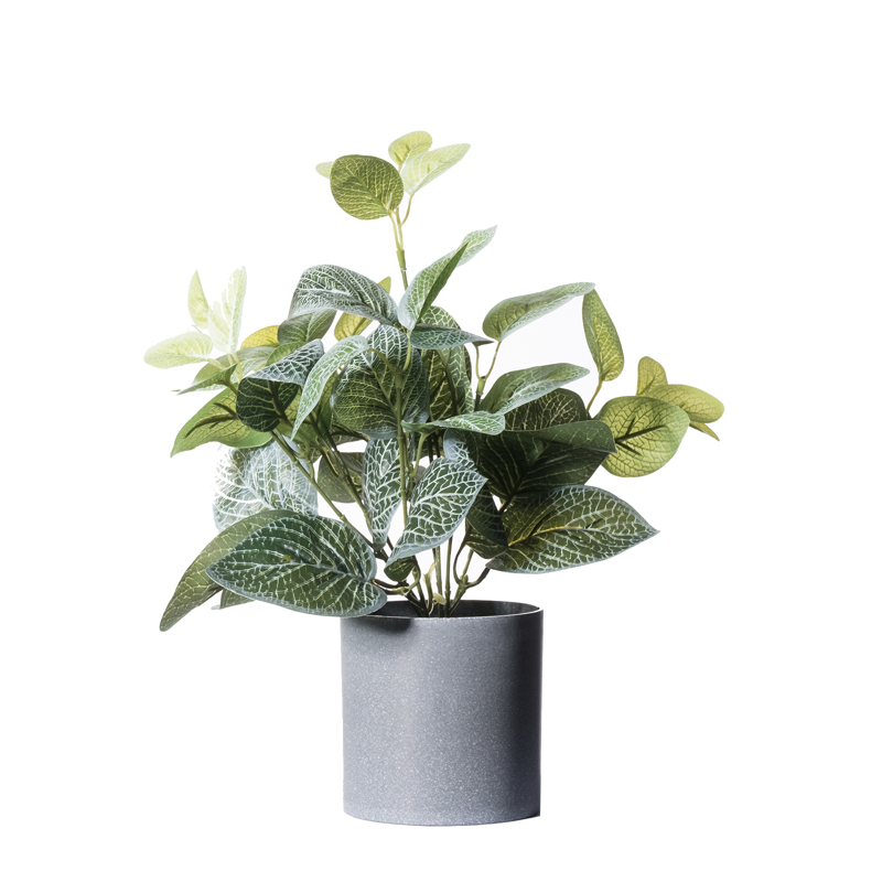 Γλάστρες - Ζαρντινιέρες agiovlasitishome - ΣΗΜΑΝΤΙΚΟ: Σε περίπτωση διαφοράς τιμής από το κατάστημα ισχύει παντα και μόνο η τιμή του καταστήματος Supergreens Τεχνητό Φυτό Πόλκα 36cm 2460-6