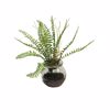 Supergreens Texnito Futo Fteri 20cm 2750-6