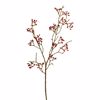 Supergreens Texnito Kladi Mouro Kokkino 66cm 2870-7