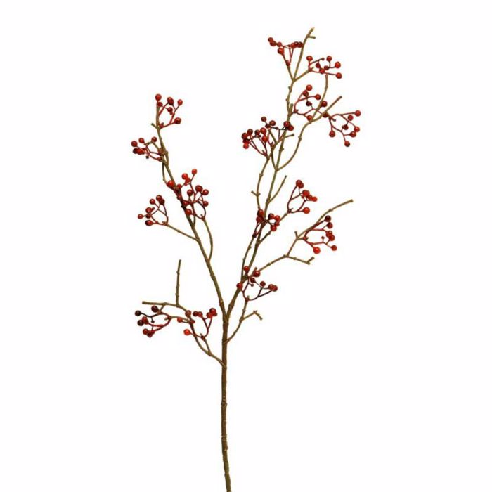 Supergreens Texnito Kladi Mouro Kokkino 66cm 2870-7