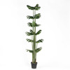 Supergreens Texnito Dentro Monstera 200cm 2880-6