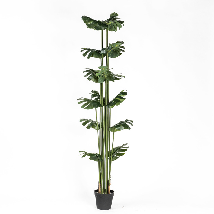 Supergreens Τεχνητό Δέντρο Μονστέρα 200cm 2880-6 Supergreens Texnito Dentro Monstera 200cm 2880-6