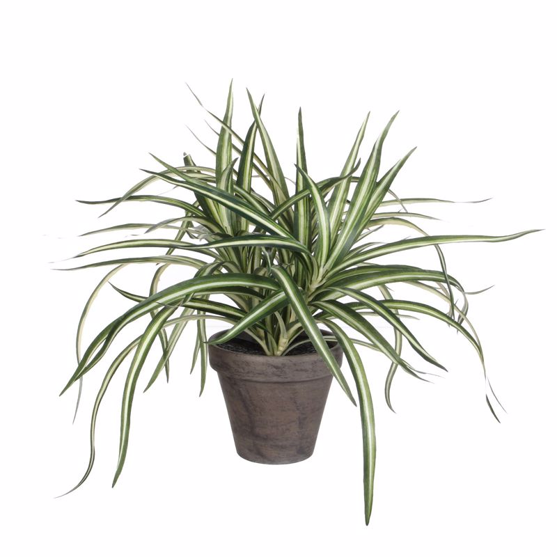 Supergreens Τεχνητό Φυτό Δράκαινα 34cm 2950-6