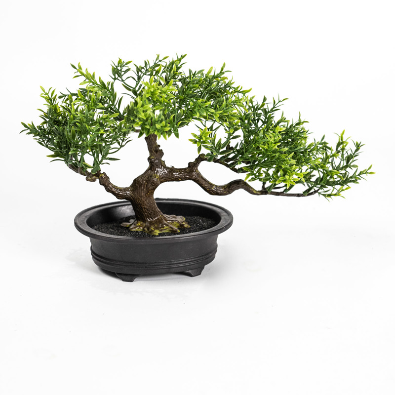 Supergreens Τεχνητός Μπονσάι Φίκος Taiwan σε Γλάστρα 35