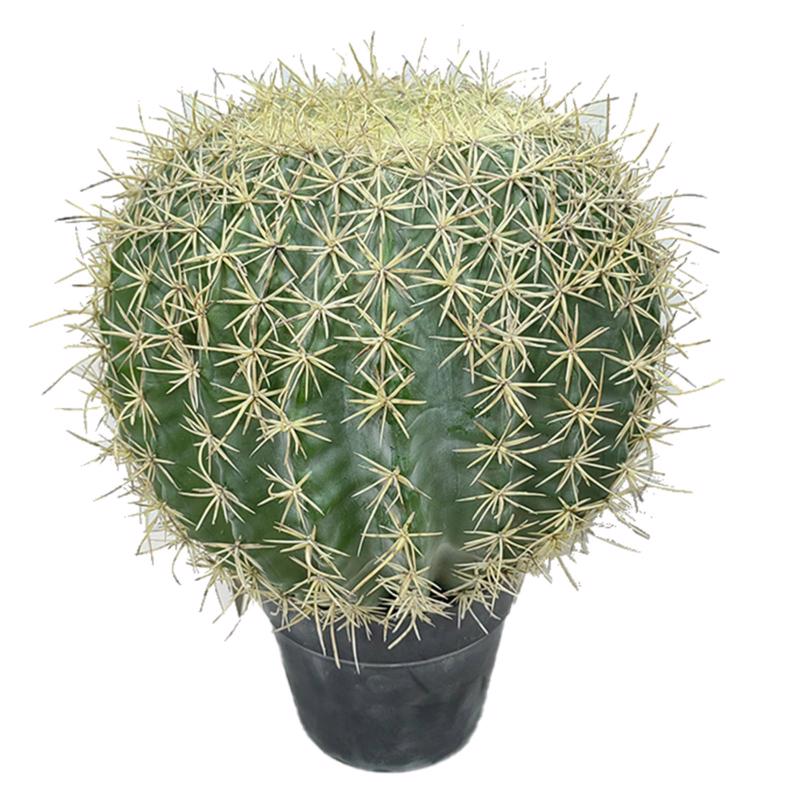 Γλάστρες - Ζαρντινιέρες agiovlasitishome - ΣΗΜΑΝΤΙΚΟ: Σε περίπτωση διαφοράς τιμής από το κατάστημα ισχύει παντα και μόνο η τιμή του καταστήματος Supergreens Τεχνητό Φυτό Εχινόκακτος 36 εκ. 3101-6